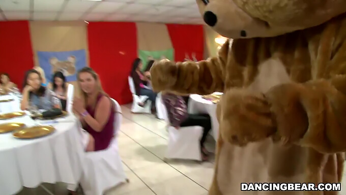 Pripravte Sa Na Divokú Párty S Renomovaným Dancing Bear! (Db9822)